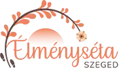 elmenyseta